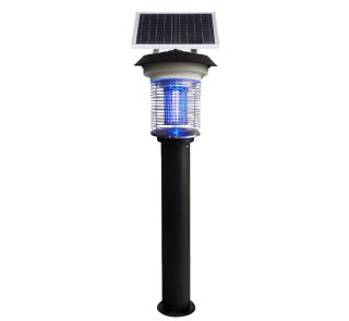 Solar Light