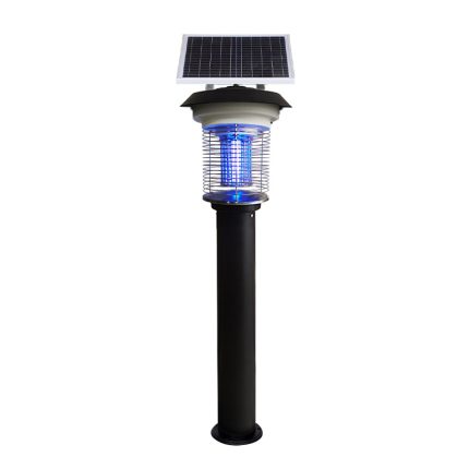 Solar Light