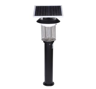 Solar Light